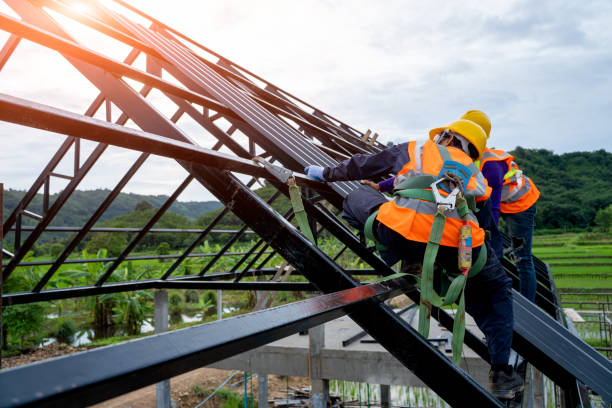 Best Gutter Installation and Roofing  in Caseyvle, IL