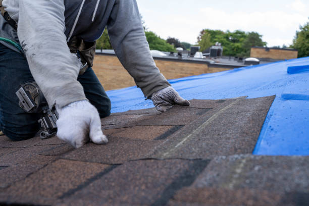 Best Commercial Roofing Services  in Caseyvle, IL