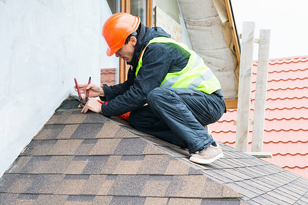 Best Roof Gutter Cleaning  in Caseyvle, IL